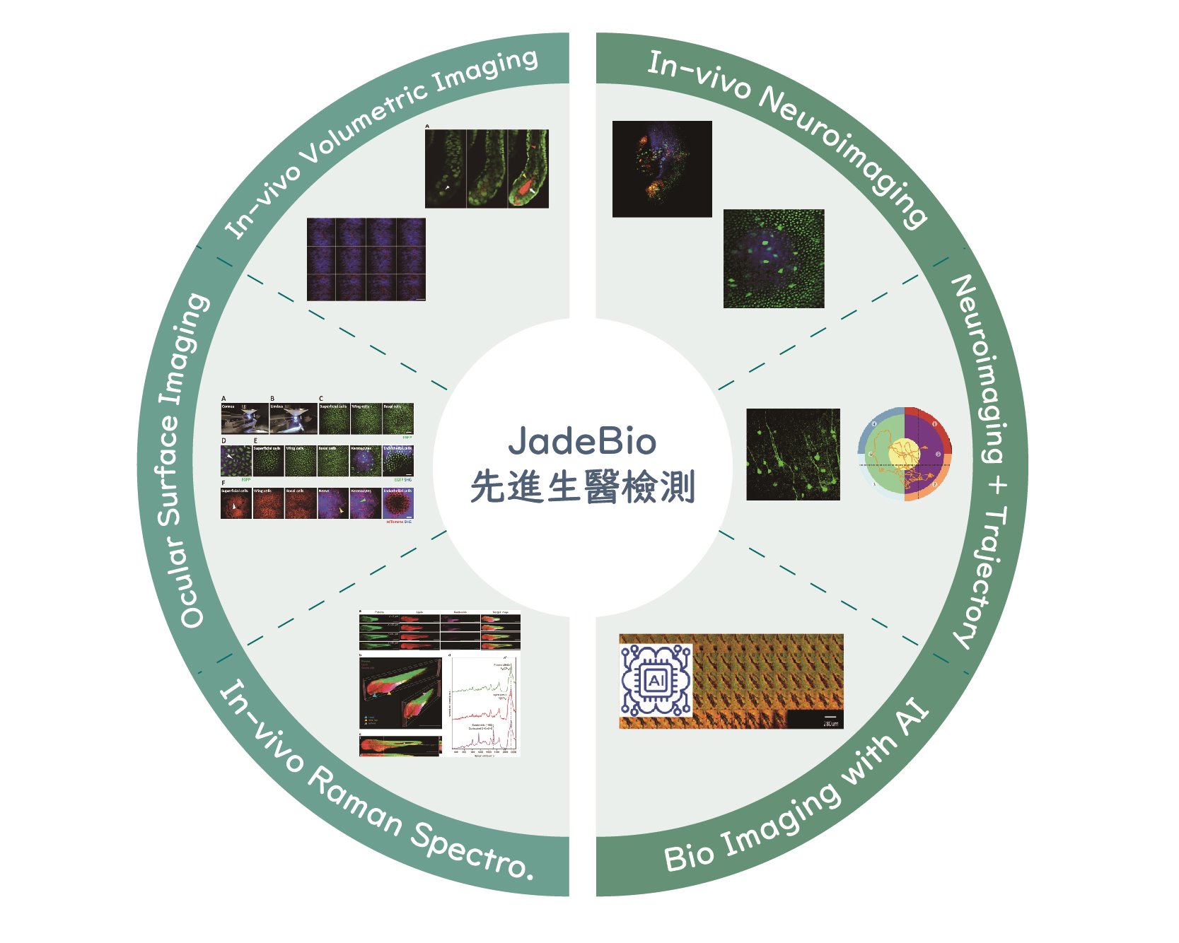 Southport's Pillars-Addressed Areas - Advanced Biomedical Inspection